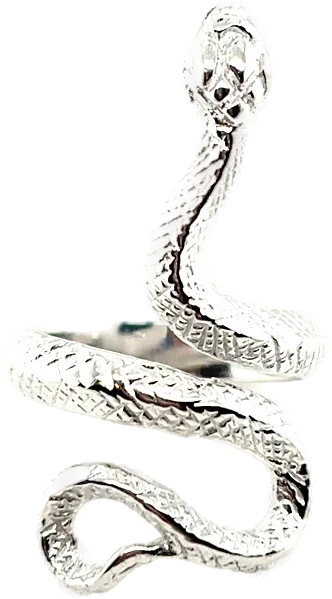 Silberring «Serpenta»